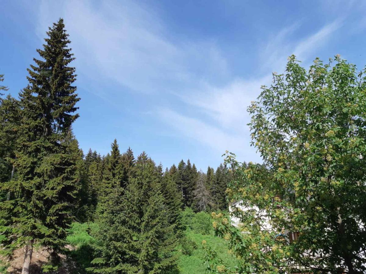Apartments Sipcic Žabljak Εξωτερικό φωτογραφία