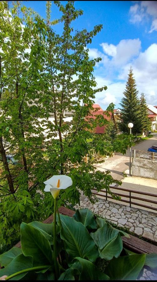 Apartments Sipcic Žabljak Εξωτερικό φωτογραφία