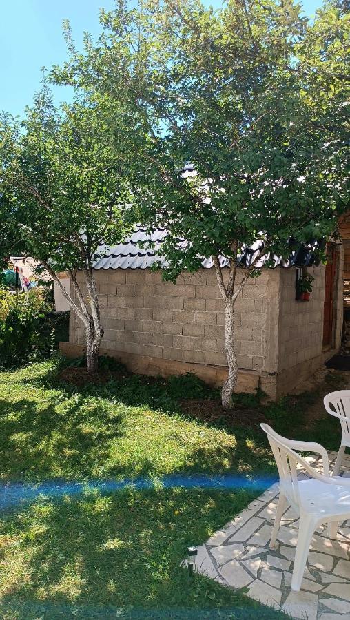 Apartments Sipcic Žabljak Εξωτερικό φωτογραφία